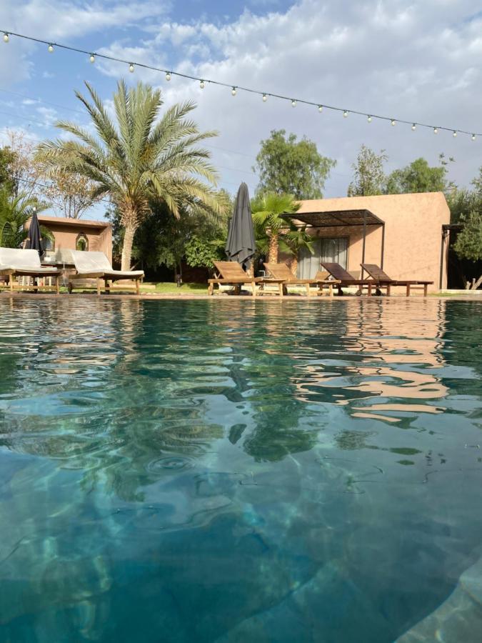فندق The Bird Douar Caïd Layadi المظهر الخارجي الصورة